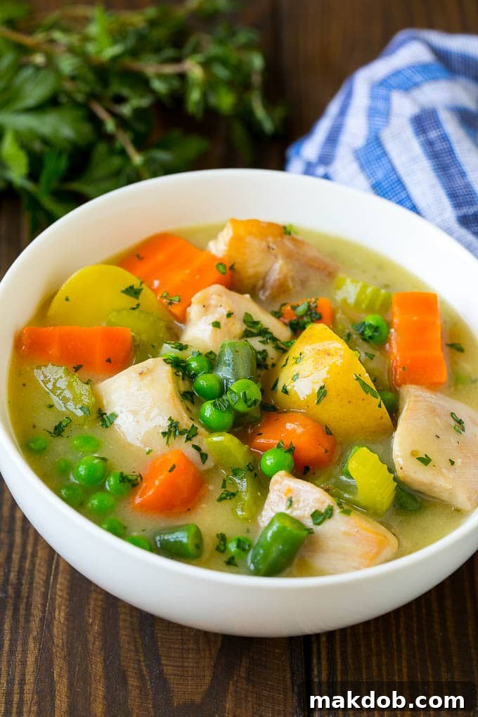 Chicken Stew Recipe | Chicken and Vegetable Soup #stew #soup #chicken #potatoes #comfortfood #dinner #dinneratthezoo A bowl of chicken stew with celery, potatoes, green beans and peas.