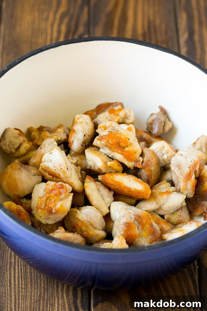 Chicken Stew Recipe | Chicken and Vegetable Soup #stew #soup #chicken #potatoes #comfortfood #dinner #dinneratthezoo Seared chicken thigh pieces in a soup pot.