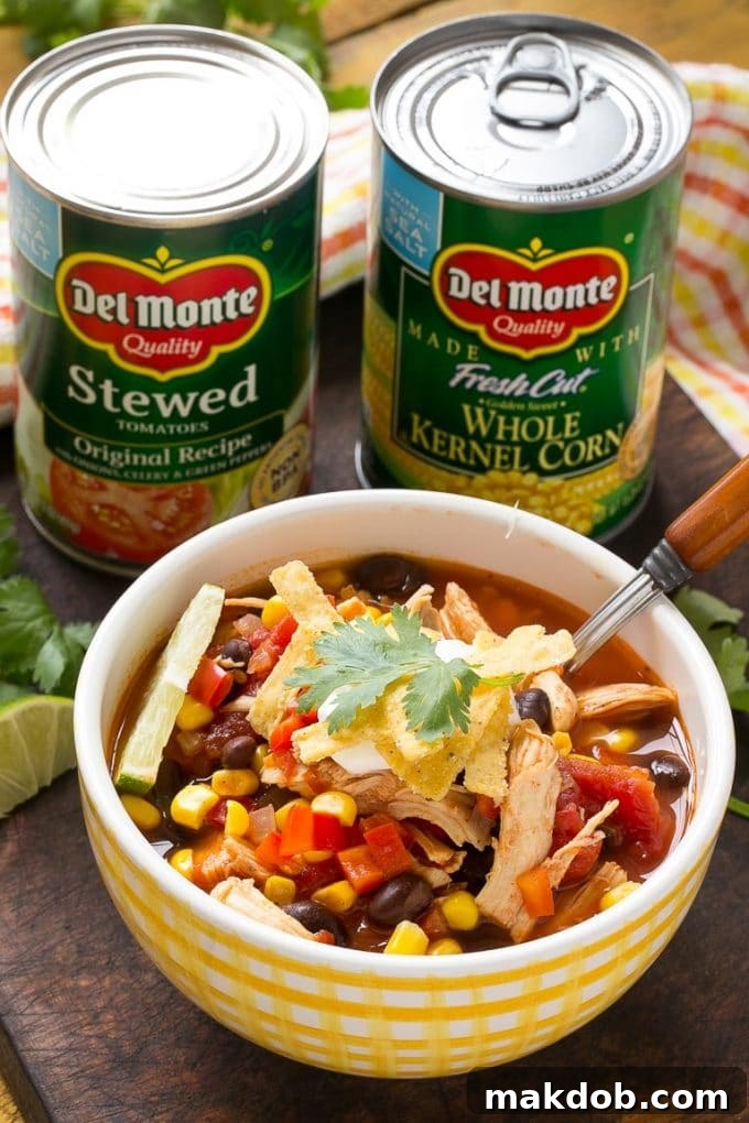 A beautiful flat lay showcases the vibrant ingredients for chicken taco soup alongside a finished bowl of soup, artfully arranged with various toppings.