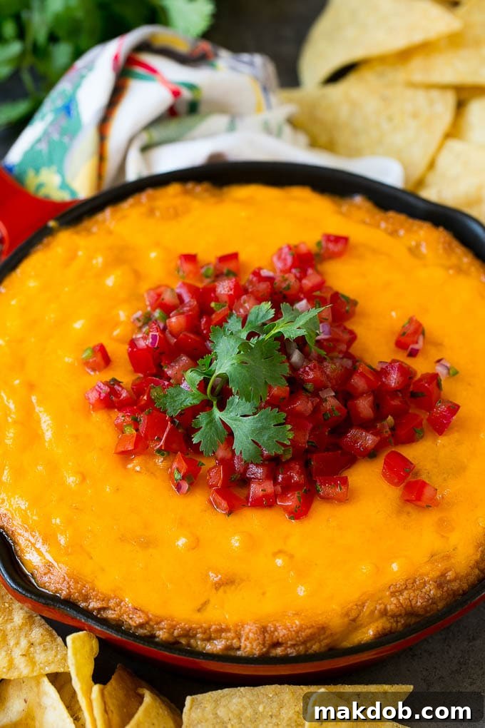 Bean Dip Recipe | Mexican Dip #dip #appetizer #mexicanfood #beans #cheese #dinneratthezoo A vibrant, cheesy Mexican bean dip, fresh from the oven, adorned with a colorful topping of melted cheese and pico de gallo, ready to be enjoyed.