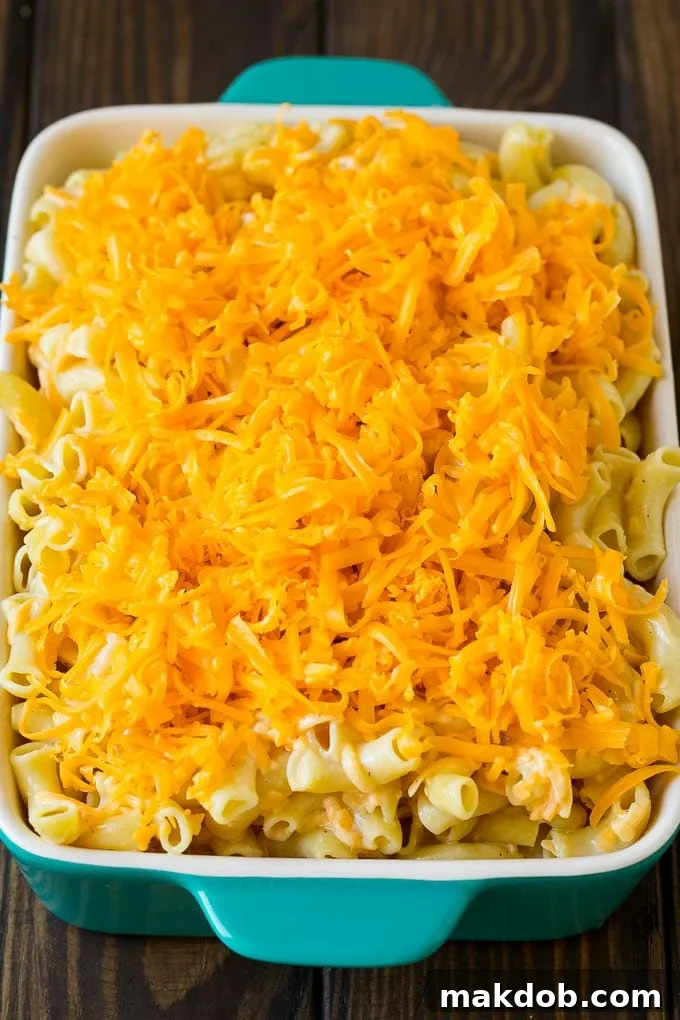 A dish full of Southern macaroni and cheese, topped with a golden crust, ready to be served.