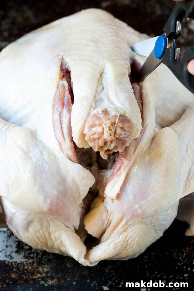Spatchcock Turkey | Roasted Turkey | Thanksgiving Turkey #turkey #thanksgiving #dinner #fall #christmas #dinneratthezoo A scissors cutting the back bone out.