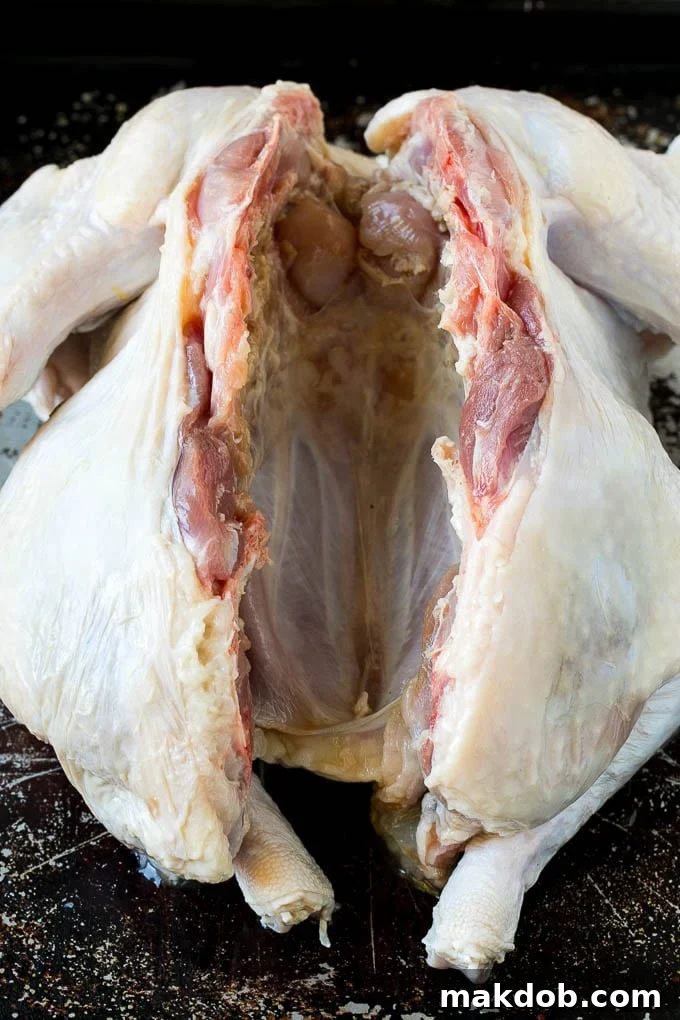 Spatchcock Turkey | Roasted Turkey | Thanksgiving Turkey #turkey #thanksgiving #dinner #fall #christmas #dinneratthezoo Raw poultry with the backbone cut out.