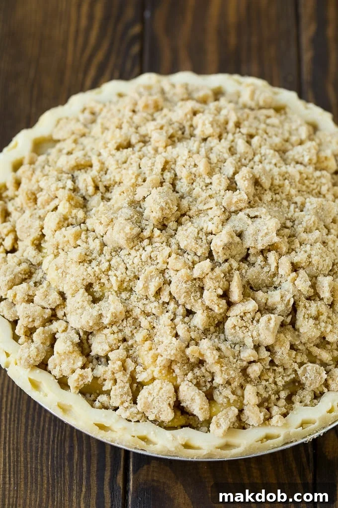 Dutch Apple Pie Recipe | Homemade Apple Pie #pie #apple #dessert #baking #fall #dinneratthezoo Brown sugar topping on top of an unbaked pie.