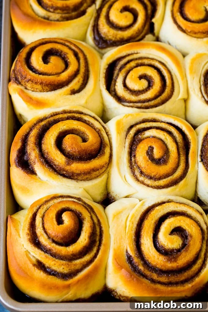 Cinnamon Rolls Recipe | Cinnamon Buns #cinnamon #rolls #pastry #breakfast #brunch #sweets #dinneratthezoo #baking #bread Baked cinnamon buns on a sheet pan, golden brown and ready for frosting.