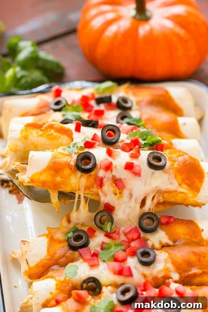 A inviting serving of savory fall Mexican food, showcasing the rich pumpkin sauce and fresh toppings.