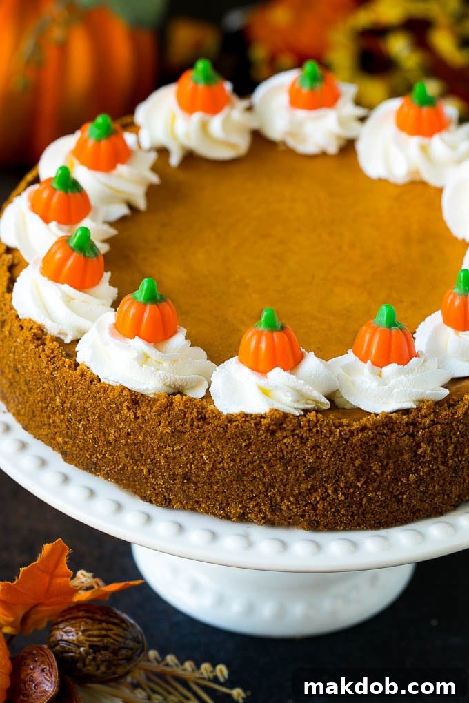 Pumpkin Pie Cheesecake Recipe | Pumpkin Cheesecake #cake #cheesecake #pumpkin #fall #thanksgiving #dessert #dinneratthezoo A slice of pumpkin pie cheesecake beautifully topped with swirls of whipped cream and festive candy pumpkins, ready for a holiday table.