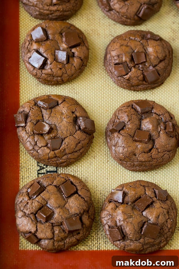 Freshly baked chocolate cookies cooling on a sheet pan, showcasing their rich color and texture.