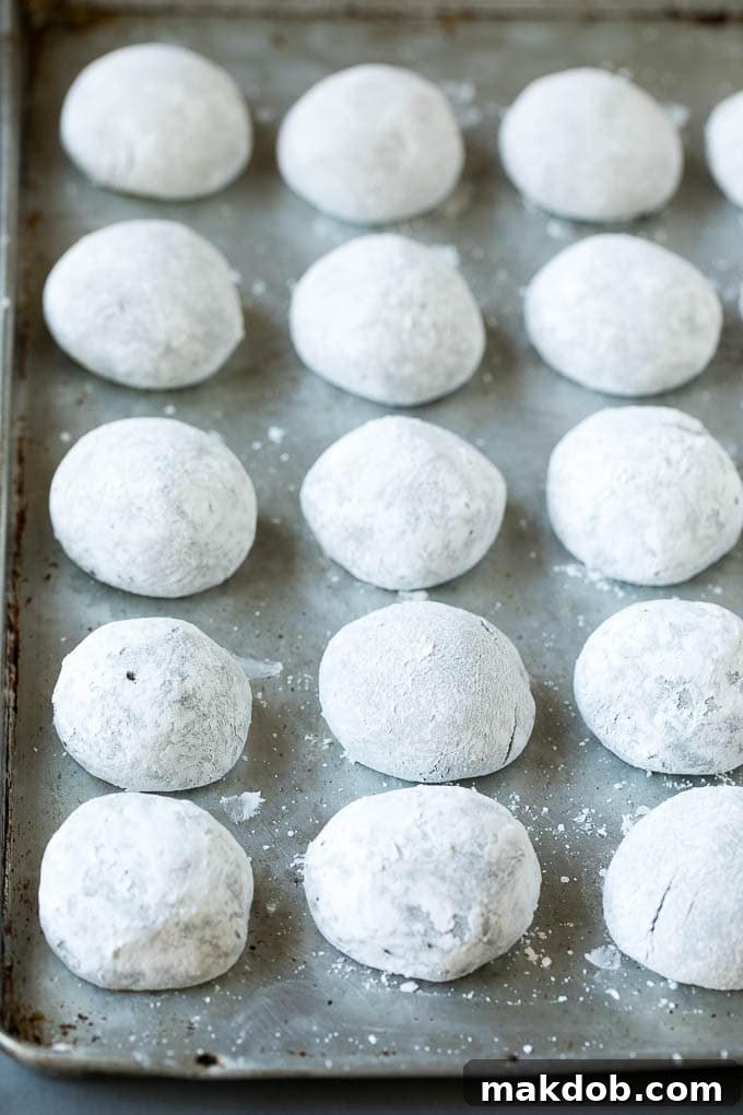 Balls of chocolate cookie dough generously rolled in powdered sugar, ready for baking on a prepared baking sheet.