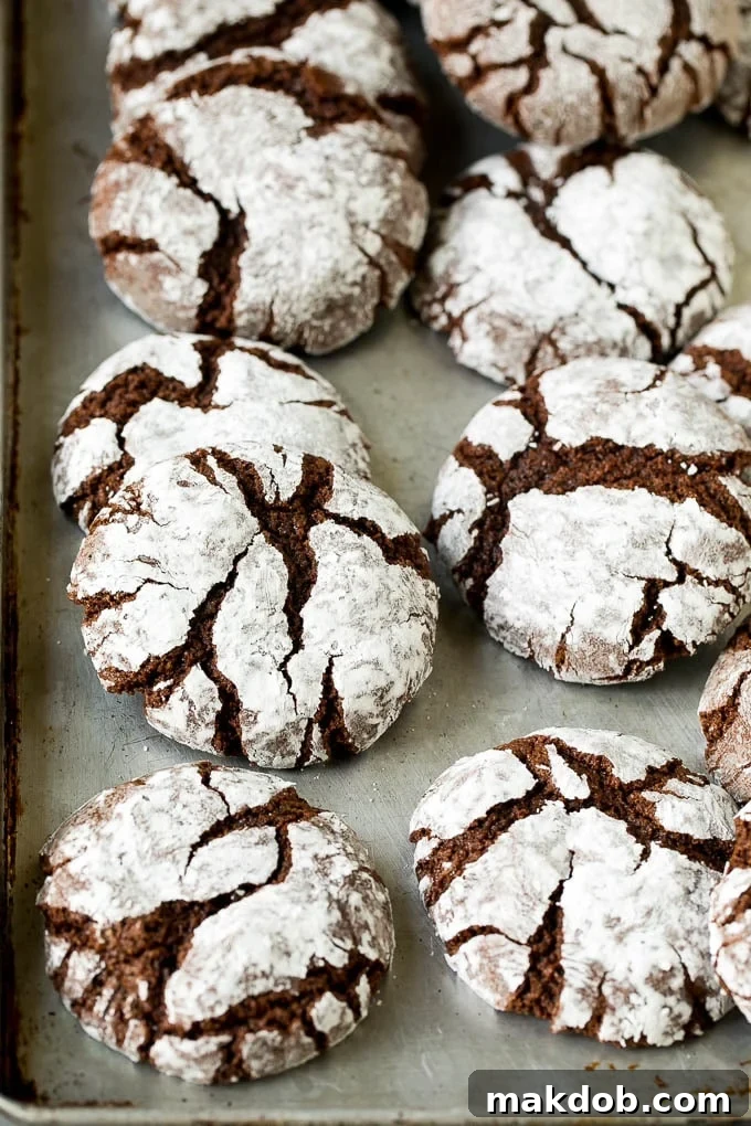 Freshly baked chocolate crinkle cookies on a sheet pan, showing the perfect crackle and powdered sugar coating.