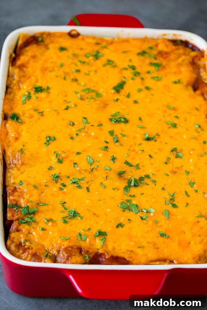 Mexican Lasagna Recipe | Mexican Casserole #mexican #lasagna #groundbeef #beans #dinner #cheese #dinneratthezoo A baked Mexican casserole topped with melted cheese and cilantro.