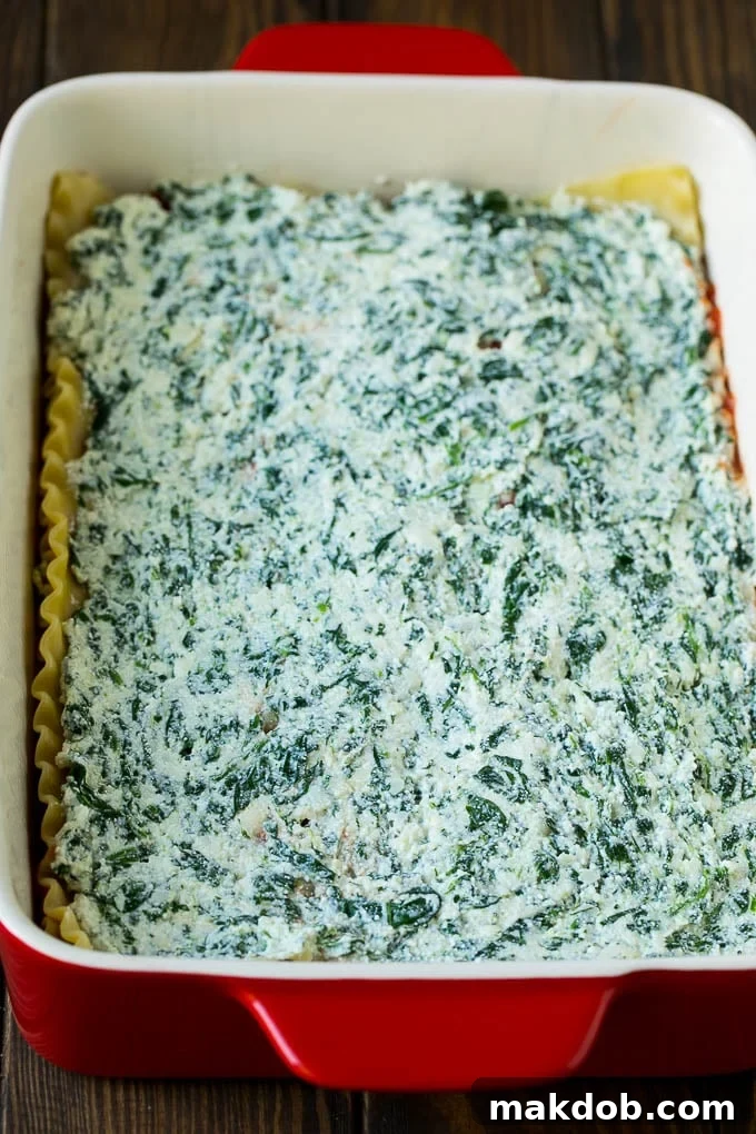 Spinach Lasagna Recipe | Vegetarian Lasagna #lasagna #spinach #cheese #pasta #italianfood #dinner #dinneratthezoo A spinach and cheese mixture spread over a layer of cooked noodles.