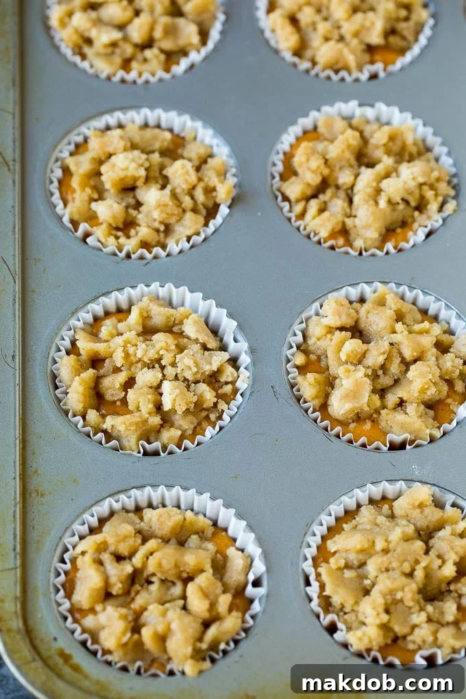 Streusel Topping on Unbaked Muffins Pumpkin muffin batter carefully poured into a muffin baking tin, topped with streusel before baking.