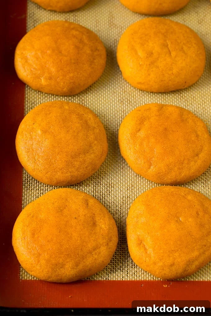 A batch of perfectly baked pumpkin cookies awaits their delicious cream cheese frosting. Freshly baked pumpkin cookies cooling on a wire rack.