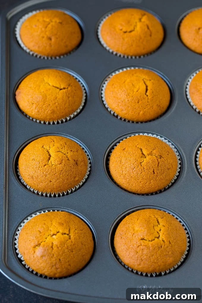 Freshly baked pumpkin cupcakes cooling in a muffin tin.