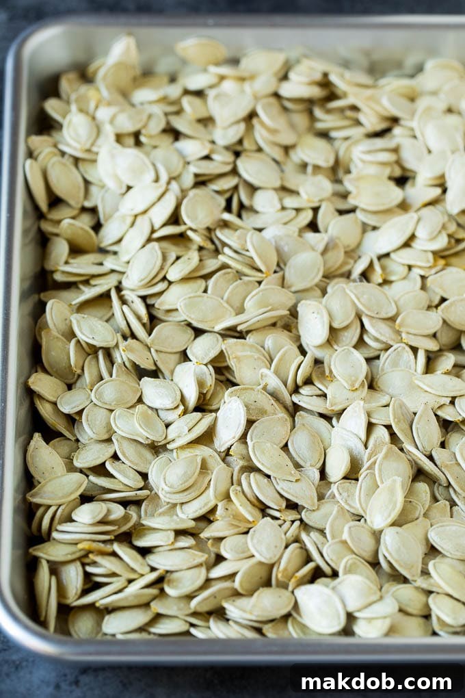 Clean pumpkin seeds, generously coated with melted butter and savory seasonings, uniformly spread in a single layer across a sheet pan, ready for roasting.