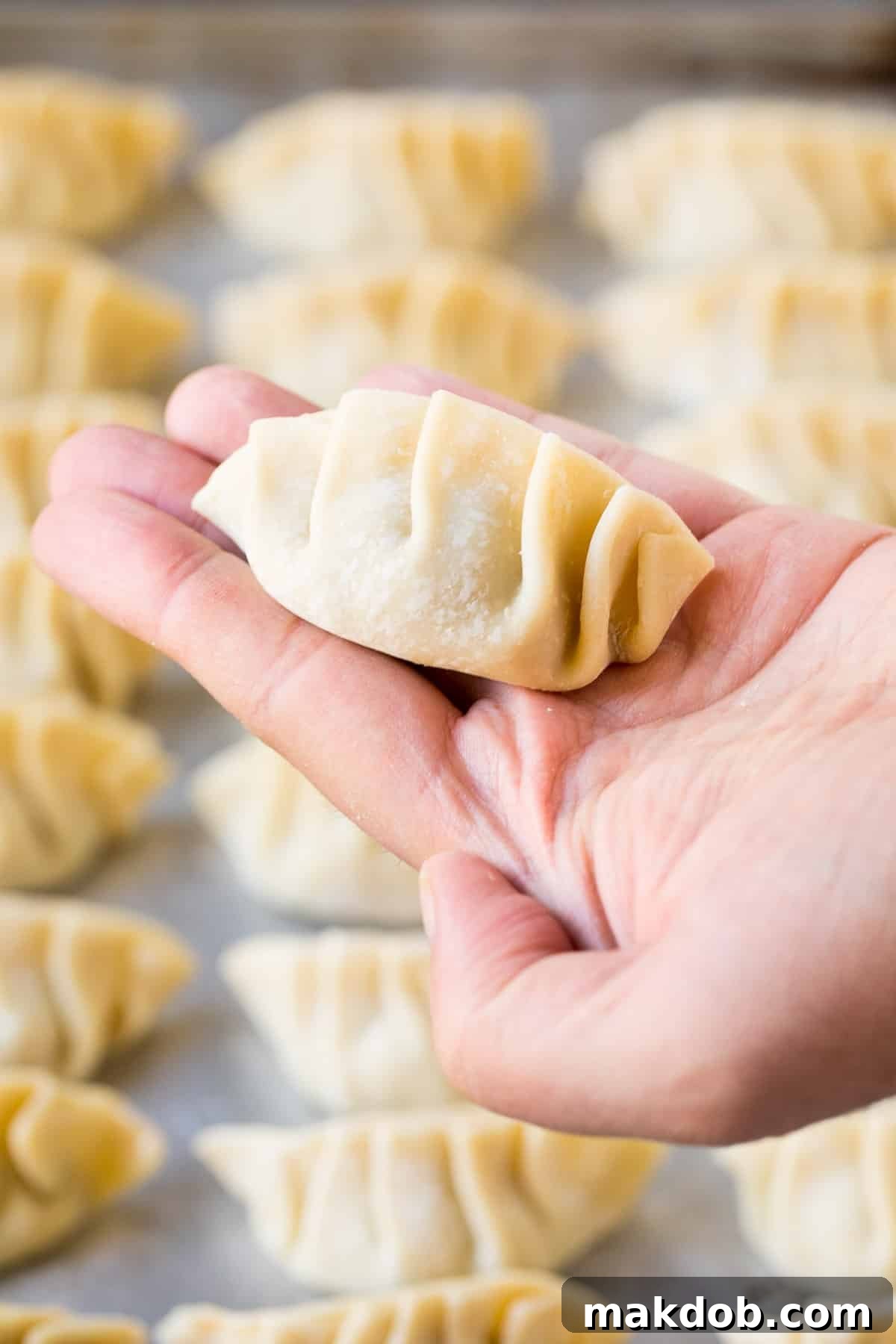 Crispy Bottom Potstickers 5 A hand gently holds a perfectly folded dumpling, showcasing the intricate pleats along its edge.