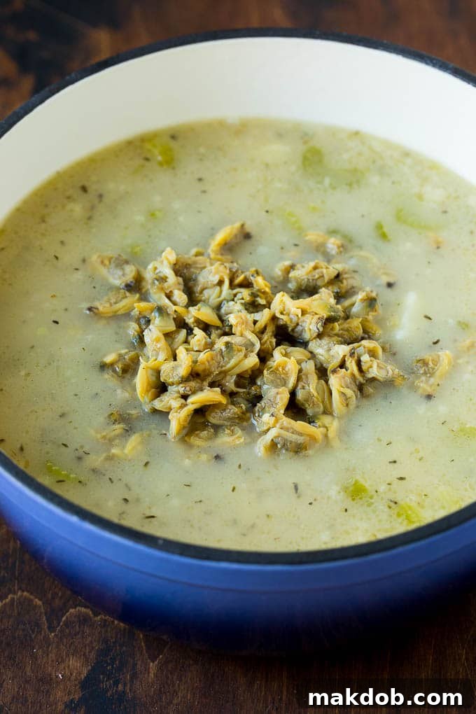 New England Clam Chowder Recipe | White Clam Chowder #chowder #soup #seafood #clams #bacon #dinner #dinneratthezoo Baby clams in broth.