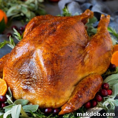 Mastering the Art of Turkey Roasting 2 How to cook a turkey with a baked turkey on a serving platter.