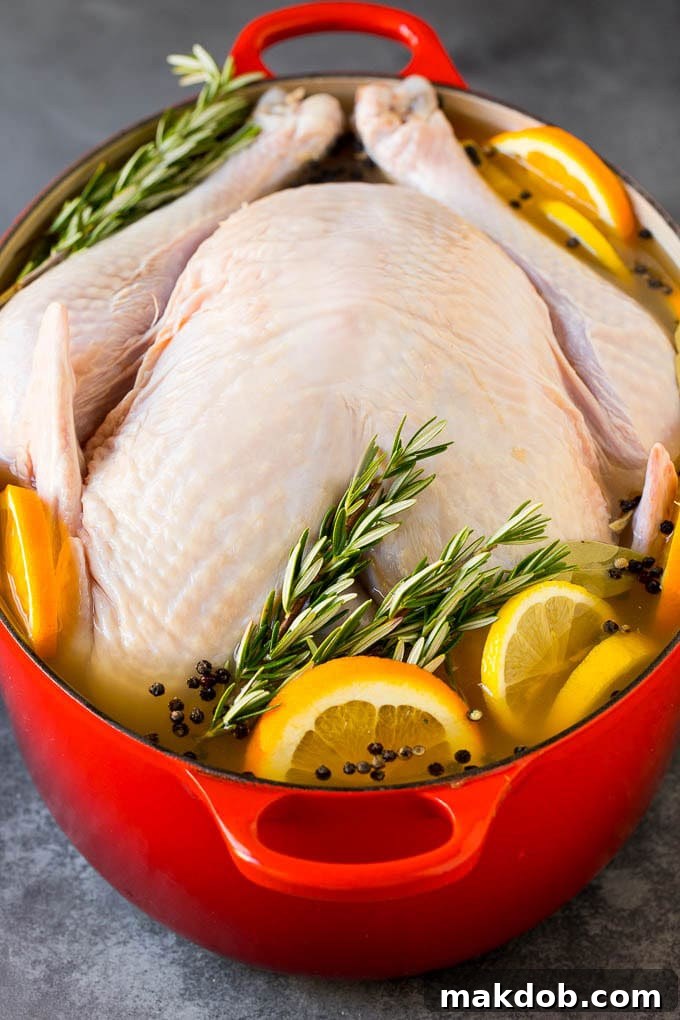 This is a complete guide on how to cook a turkey. A turkey in a pot of brine.