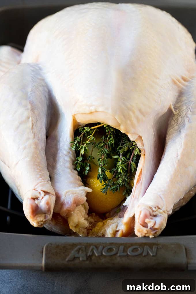This is a complete guide on how to cook a turkey. A turkey with the cavity stuffed with lemon and herbs.
