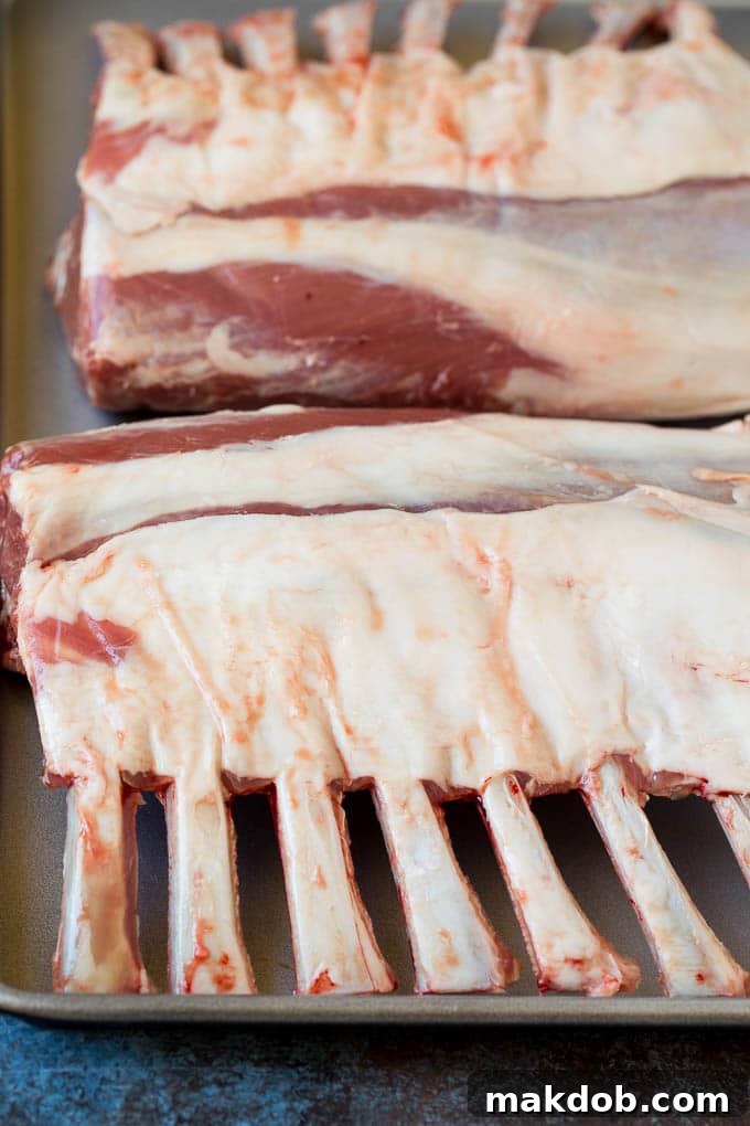 Raw rack of lamb seasoned on a sheet pan, ready for roasting.