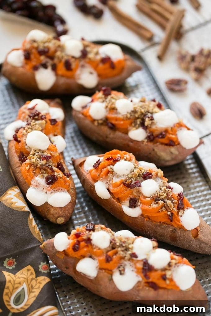 A tray of beautifully arranged twice baked sweet potatoes with a golden-brown streusel topping, melting marshmallows, and dried cranberries, ready to serve.