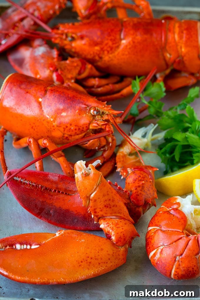 A cooked lobster broken up into pieces, ready for eating.