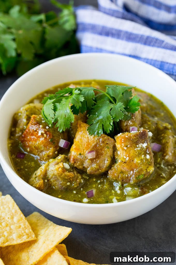 A bowl of pork chile verde garnished with red onion and cilantro.