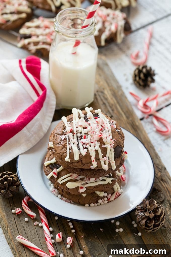 Peppermint Bark Cookie | Easy Peppermint Bark Cookies | Christmas Cookies | Peppermint Bark Cookies | Chocolate Peppermint Cookie #peppermint #peppermintbark #cookies #christmas #holiday #dessert #dinneratthezoo A plate of chocolate peppermint bark cookies, beautifully arranged, with a bottle of milk on the side.