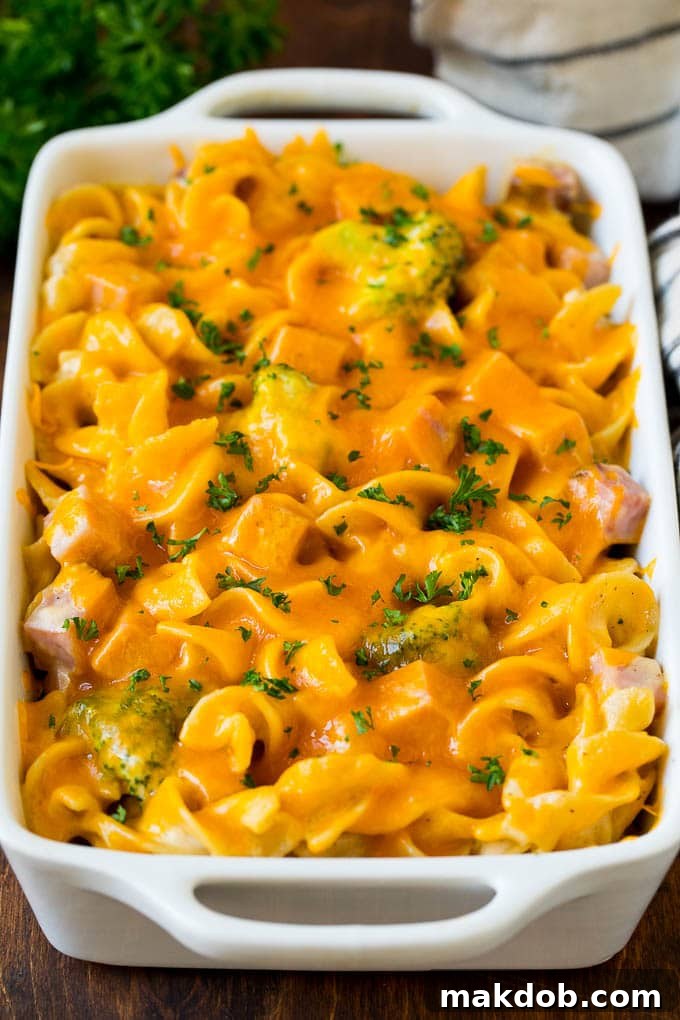Creamy Ham Casserole with Egg Noodles and Broccoli A close-up of a golden-brown ham casserole, showcasing egg noodles, broccoli, and diced ham in a creamy, cheesy sauce, fresh out of the oven.
