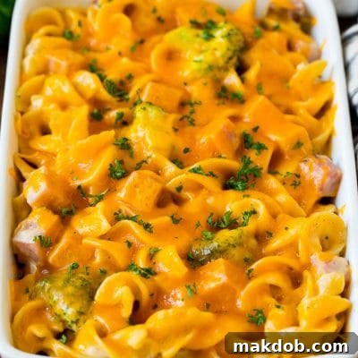 Ham casserole with egg noodles and broccoli, topped with melted cheese.
