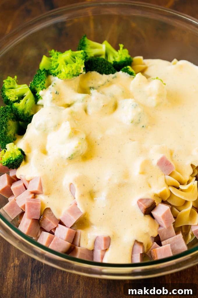 Savory Ham Bake 3 A close-up of egg noodles, diced ham, and vibrant broccoli florets thoroughly coated in a rich, creamy cheese sauce within a large mixing bowl.