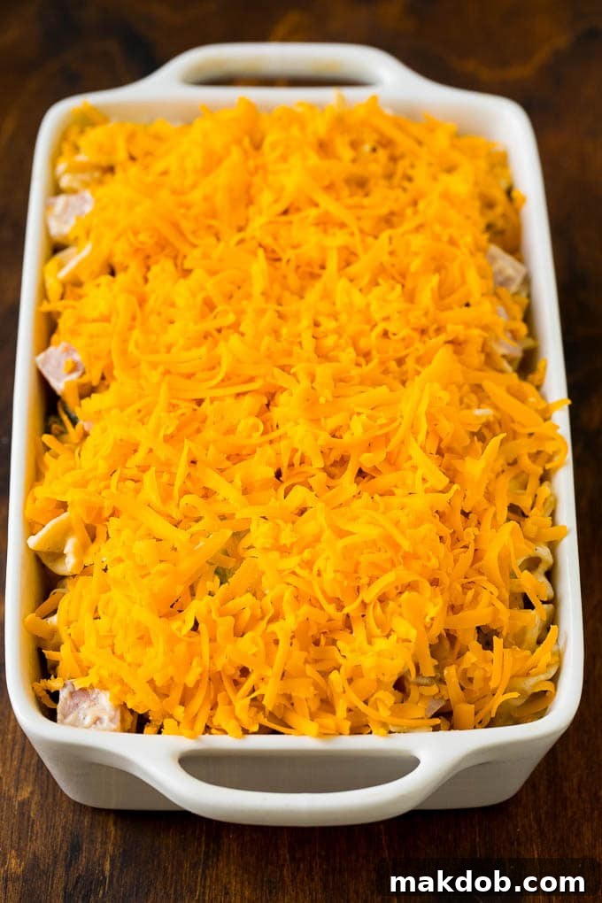 Savory Ham Bake 4 A close-up shot of the ham and noodles in creamy sauce, generously topped with shredded cheddar cheese, ready for baking.