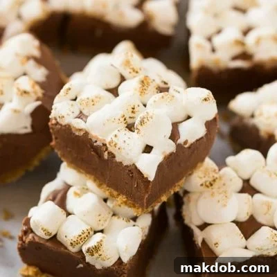 Fireside S'mores Fudge Delight 6 S'mores fudge with a crunchy graham cracker crust, creamy chocolate fudge filling and plenty of toasted marshmallows on top. The best fudge I've ever had!