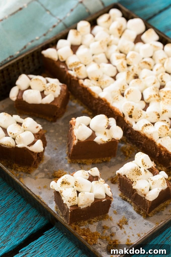 Fireside S'mores Fudge Delight 3 Chocolate fudge in a pan with graham cracker on the bottom and marshmallow on top.