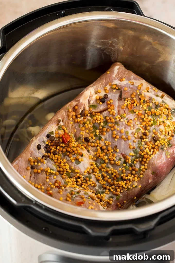 Preparing Raw Corned Beef for Instant Pot A raw corned beef brisket in a pressure cooker with onions and garlic.