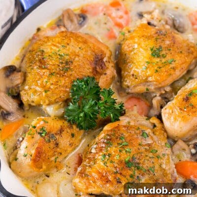 A pan of chicken fricassee in a creamy sauce with vegetables.