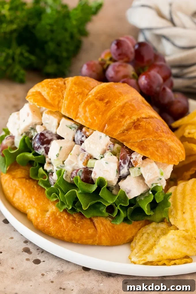 Chicken salad with grapes served on a croissant with chips. A creamy and delicious meal option.