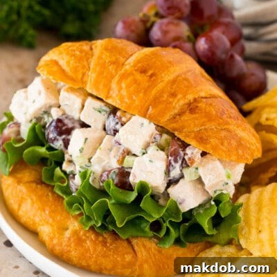Chicken salad with grapes served on a croissant with chips.