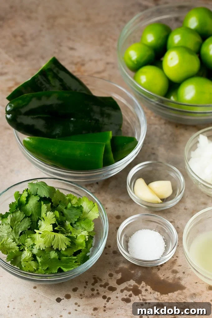 This homemade salsa verde is a combination of roasted chilies, tomatillos, garlic, cilantro and lime juice, all blended together to make a light and refreshing dip. Bowls of fresh tomatillos, peppers, garlic, cilantro and seasonings, ready for preparation.