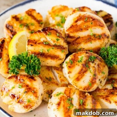 A plate of grilled scallops garnished with parsley and lemon.