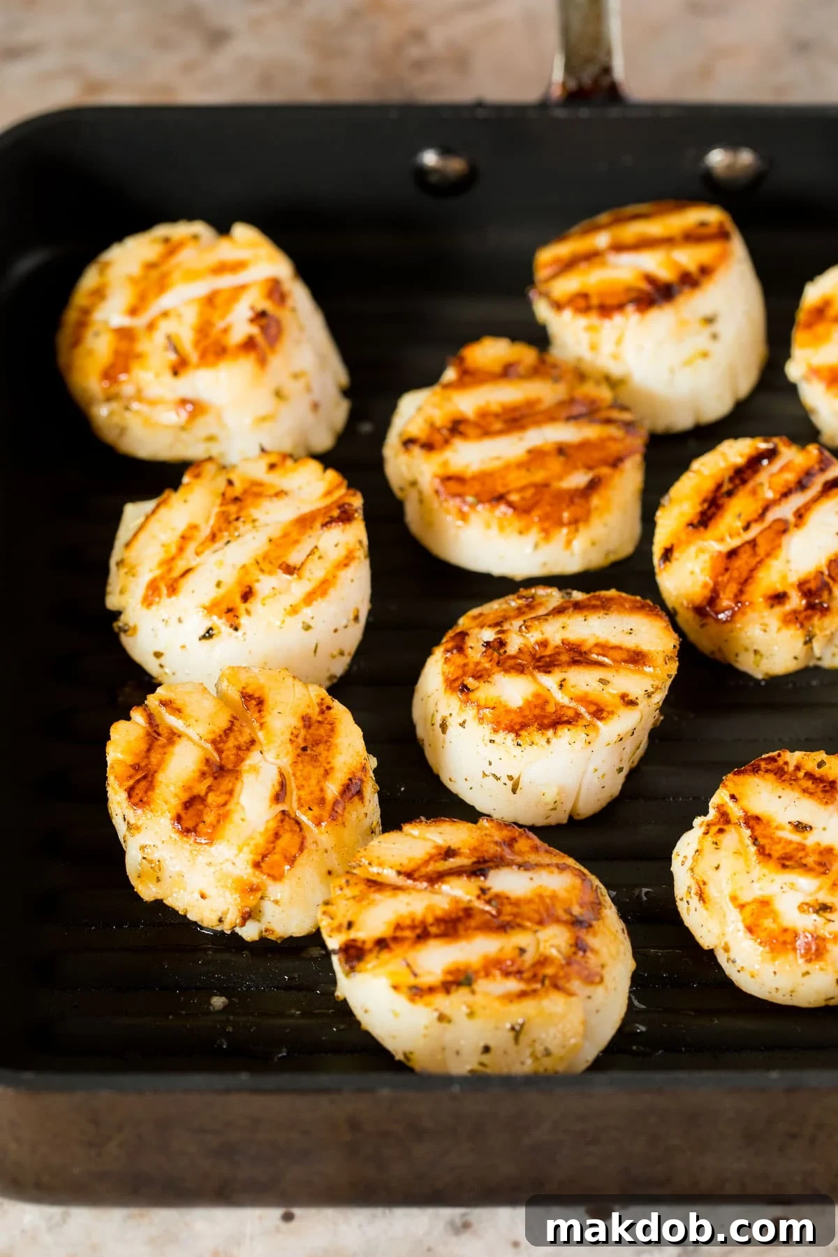 Close-up shot of perfectly seared scallops on a pan, showcasing their golden-brown crust and succulent texture.
