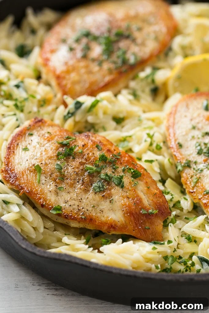 This one pot chicken with creamy spinach artichoke pasta is made with seared chicken breasts, orzo pasta, fresh spinach, artichokes and plenty of cheese. It's a quick and easy weeknight dinner with less dishes to do at the end!