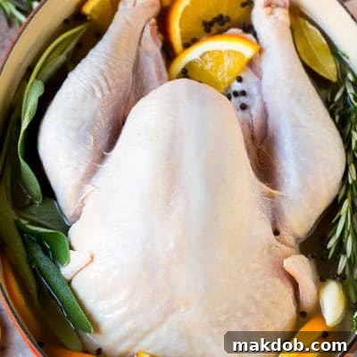 Achieve a Super Moist Turkey with Brining 2 How to brine a turkey with a raw turkey in a pot of brine.