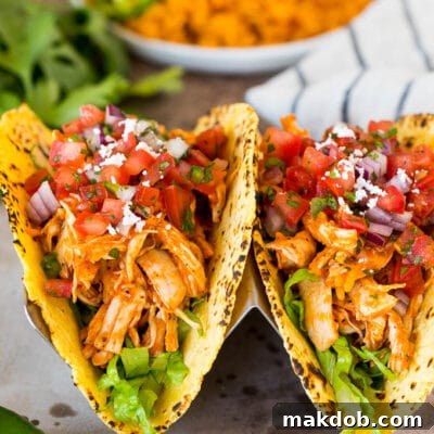 Smoky Chipotle Chicken Tinga 2 Chicken tinga tacos with lettuce and pico de gallo.