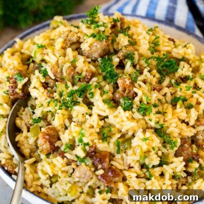 A bowl of dirty rice with a serving spoon in it.