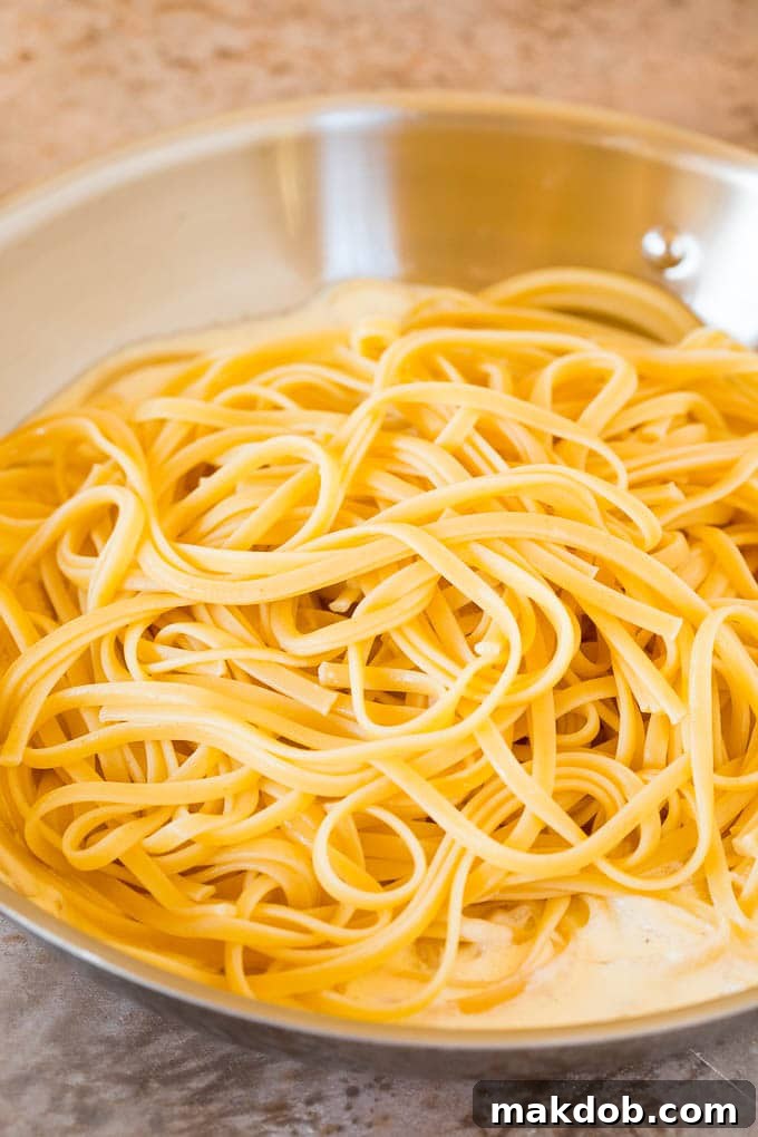 Linguine pasta on top of cream sauce.