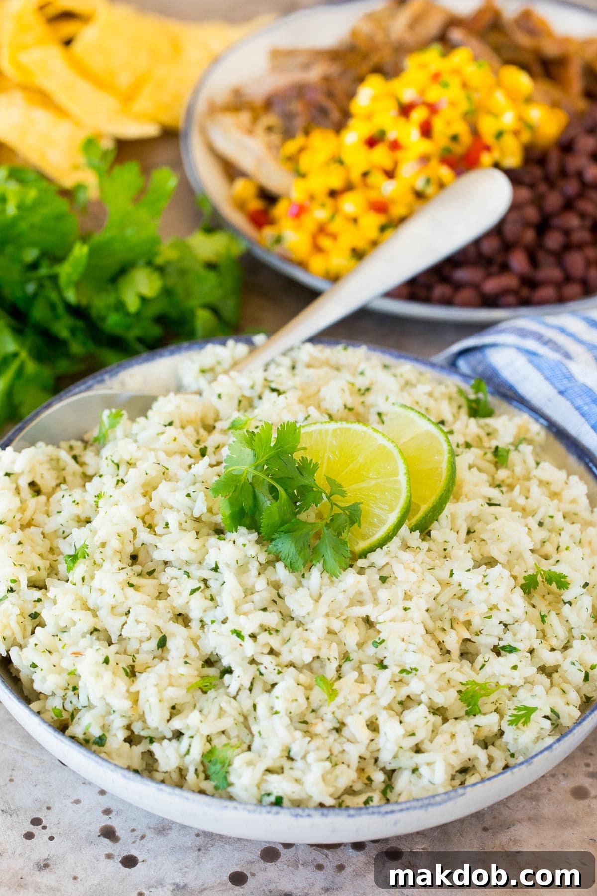 A beautifully arranged bowl of cilantro lime rice, flanked by tortilla chips, black beans, seasoned pork, and fresh salsa.