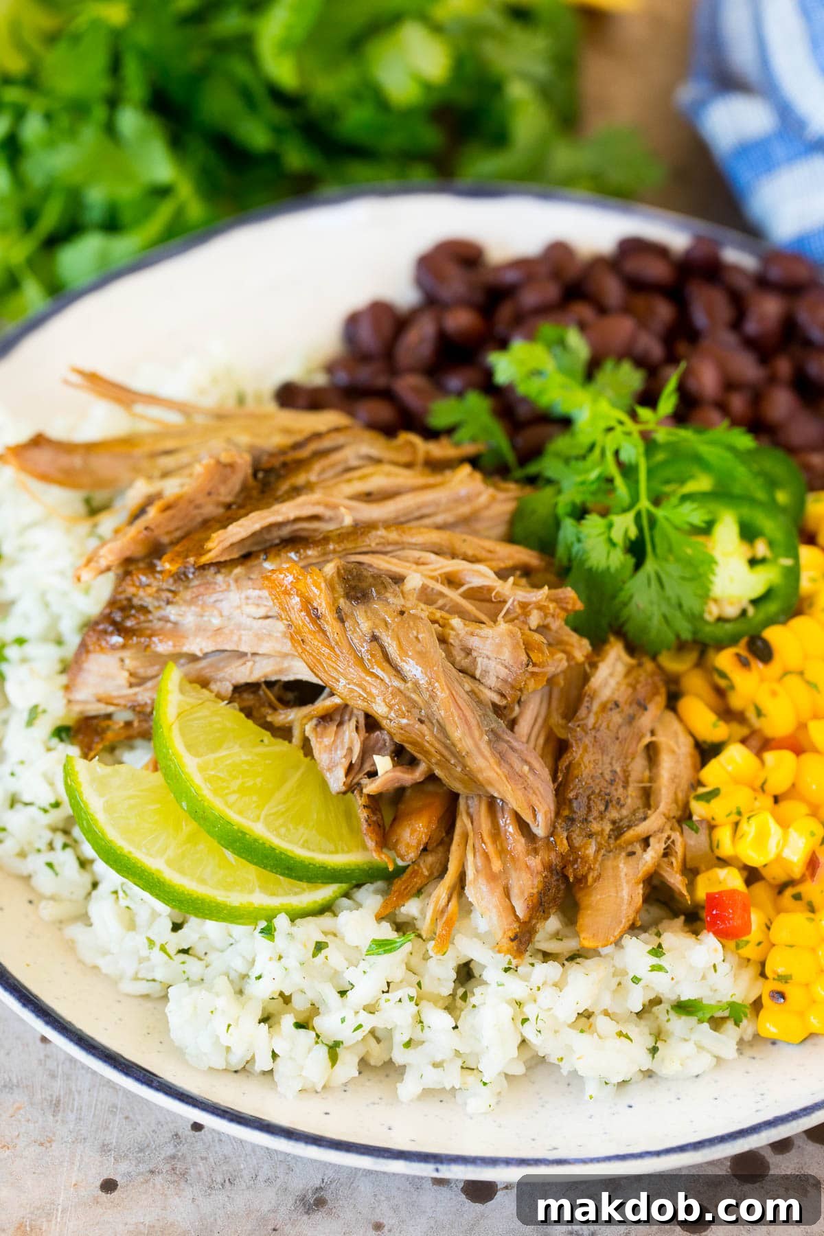 A serving of shredded pork, accompanied by a vibrant corn salsa and a generous portion of cilantro lime rice.